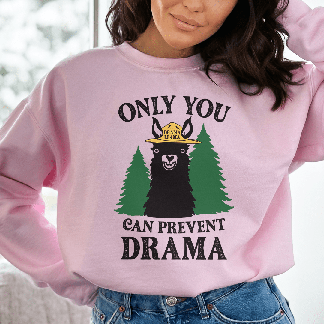 Only You Can Prevent Drama